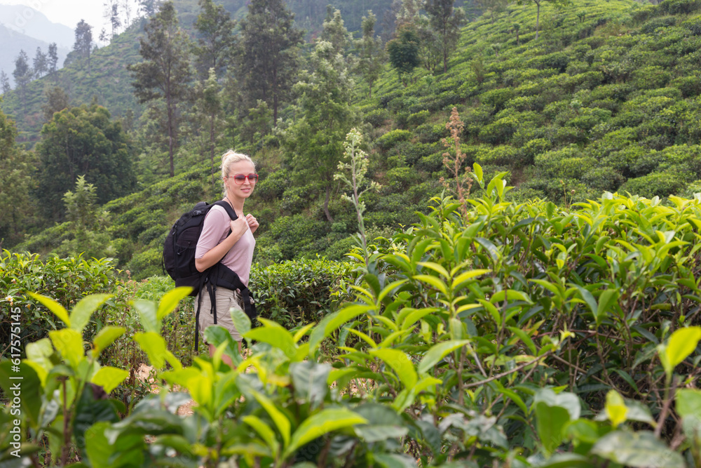 Active caucasian blonde woman enjoying fresh air and pristine nature while trekking among tea plantations near Ella, Sri Lanka. Backpacking outdoors tourist adventure. Active caucasian blonde woman enjoying fresh air and pristine nature while trekking among tea plantations near Ella, Sri Lanka. Backpacking outdoors tourist adventure.