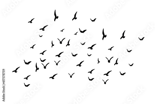 flock of birds flying in PNG © fatima