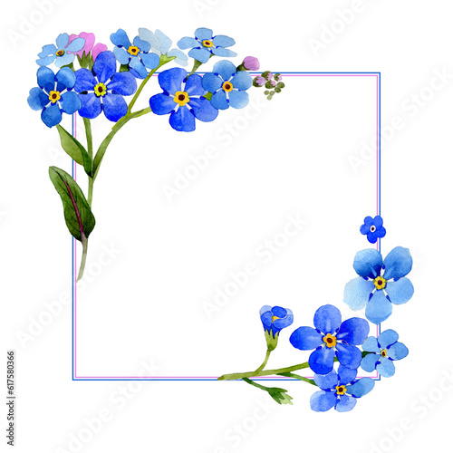 Photography Wildflower myosotis arvensis flower frame in a watercolor style isolated