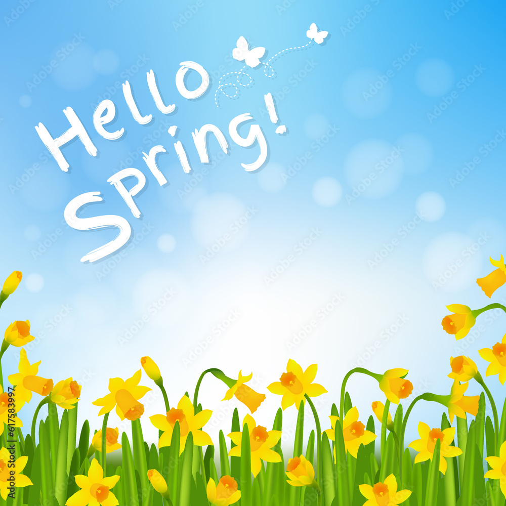 Hello Spring Poster With Narcissus With Gradient Mesh, Vector Illustration