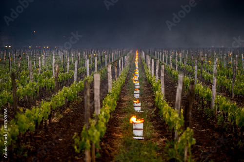 The Bordeaux vineyards affected by a devastating frost on Thursday, April 27, 2017, the last dating back to April 1991.Torshes are depolyzed in the wineyards to warm the atmosphere. photo