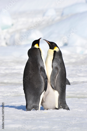 Snow Hill October 14 to 26  Antarctica 2010 on icebreaker Kapitan Khlebnikov