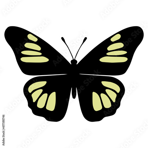 Butterfly beautiful wings, spring nature, vector illustration 