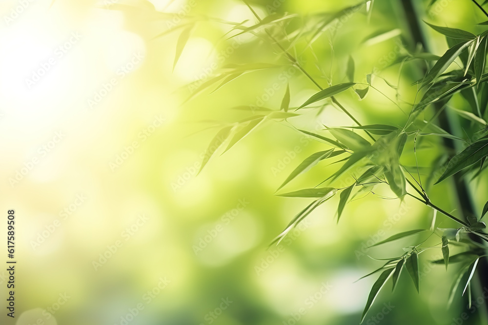 Empty space surrounded by beautiful leaves bamboo with an empty backdrop and beautiful lighting and bokeh. Green leaves frame. Illustration, Generative AI. Empty space surrounded by beautiful leaves bamboo with an empty backdrop and beautiful lighting and bokeh. Green leaves frame. Illustration, Generative AI.