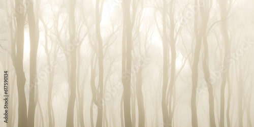 Forest in the fog, sepia tones, ai generated photo