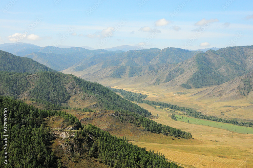 Naklejka premium The gentle slopes of high hills overgrown with coniferous forests smoothly descend into the picturesque valley on a sunny autumn day.