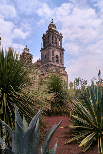 View of the metropolitan cathedral in the zocalo with maguey and sky with clouds, mexico city  photo
