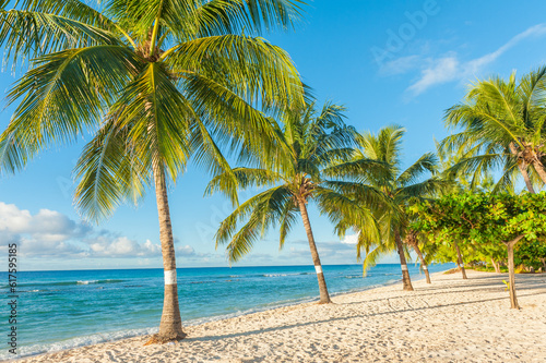 Palms on the white beach and a turquoise sea on a Caribbean island of Barbados