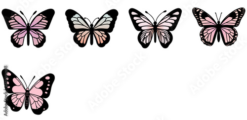 set of Butterfly beautiful wings, spring nature, vector illustration 