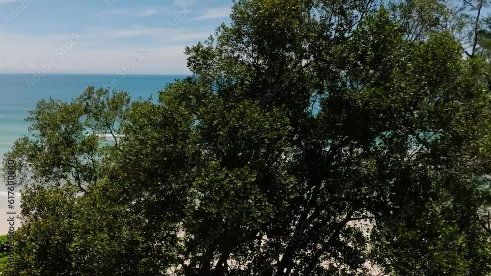 Tropical beach and blue sea through the trees. Sabah, Borneo, Malaysia. Tropical beach and blue sea through the trees. Sabah, Borneo, Malaysia.