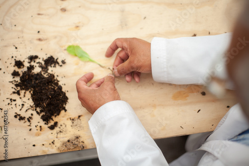 Person doing gardening, sowing and horticulture activities. 