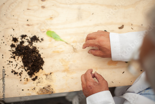 Person doing gardening, sowing and horticulture activities. 
