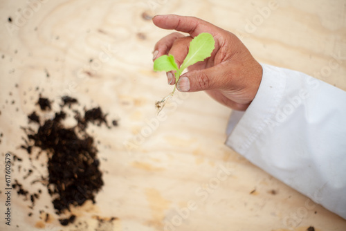 Person doing gardening, sowing and horticulture activities. 