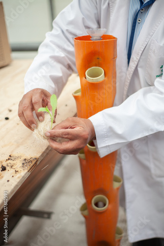 Person doing gardening, sowing and horticulture activities. 