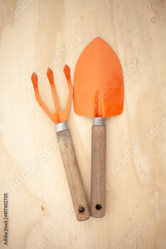 Person doing gardening, sowing and horticulture activities. 