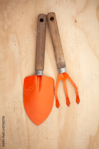 Person doing gardening, sowing and horticulture activities. 