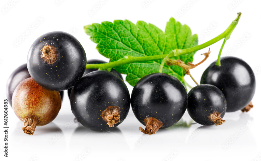 Berries black currant with green leaf. Fresh fruit, isolated on white background. Berries black currant with green leaf. Fresh fruit, isolated on white background.