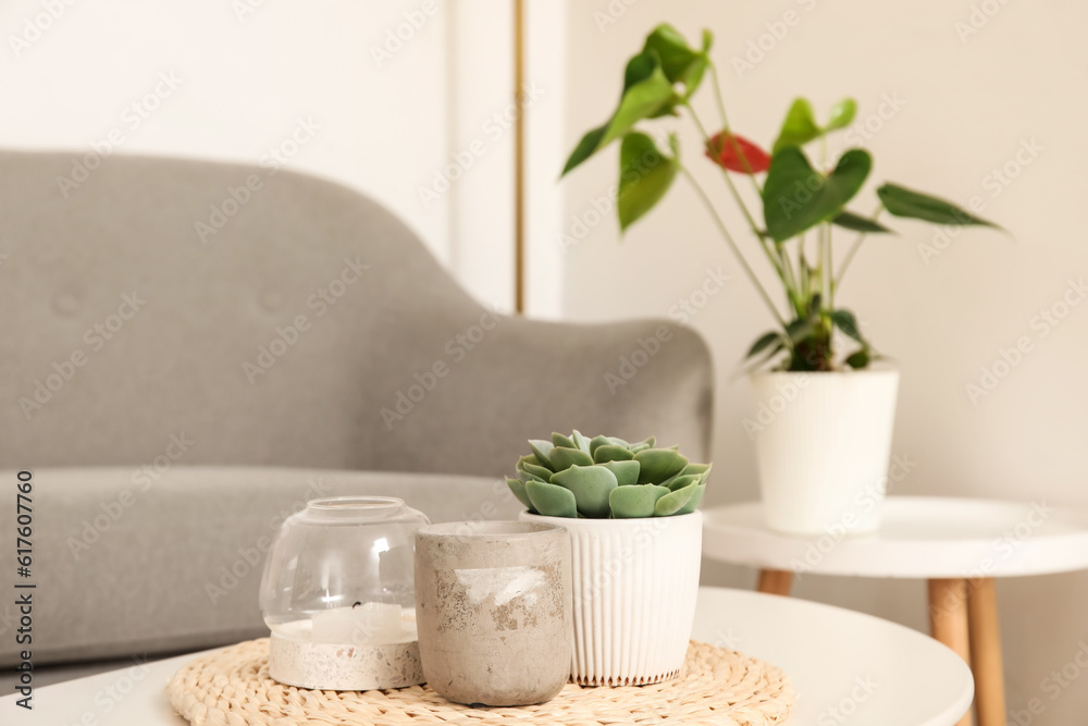 Wicker mat with candle, ceramic cup and houseplant on coffee table near grey sofa in living room Wicker mat with candle, ceramic cup and houseplant on coffee table near grey sofa in living room