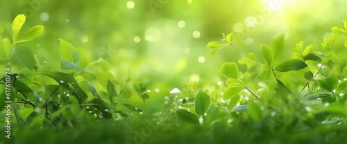 Natural macro leaf bokeh texture, panoramic springtime Fresh young grass in nature in the rays of sunlight with beautiful sparkling bokeh leaves banner © MAJGraphics