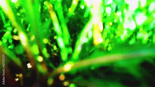 abstract crane shot garden grass