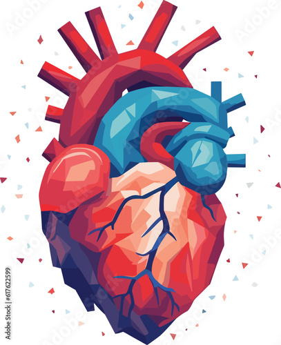human heart vector illustration on isolated background