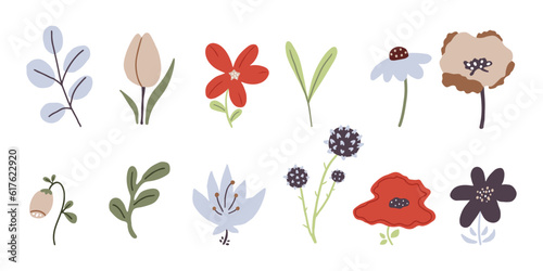 Cute simple flowers and leaves in modern style. Minimal blooming plants. Summer botanical element set. Hand drawn vector illustration isolated on white background