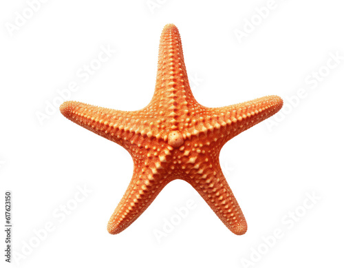 Red starfish isolated on transparent background