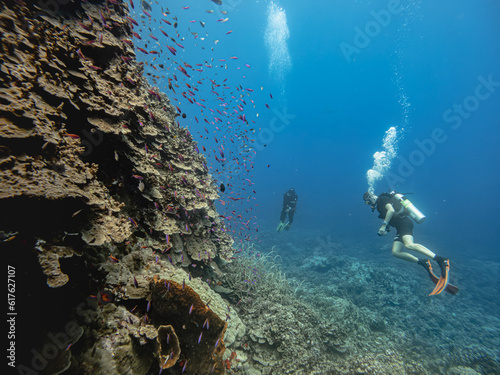 Scuba Diving underwater diversity