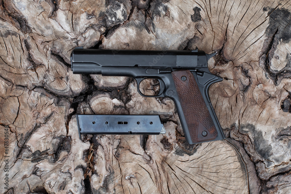 Fototapeta premium pistol and magazine 