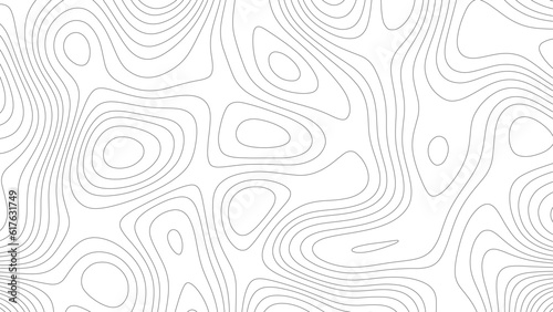 Abstract white topography vector background. Line topography map design. The concept of conditional geographical pattern and topography.	