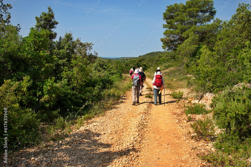 Group of hikers hiking down the road on island Vis in Croatia