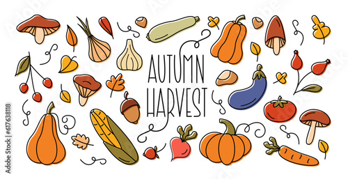 Autumn Harvest Colorful Doodle Set. Cute Cartoon Hand Drawn Vegetables and Mushrooms with Lettering. Harvest and Fall Design Elements Collection.