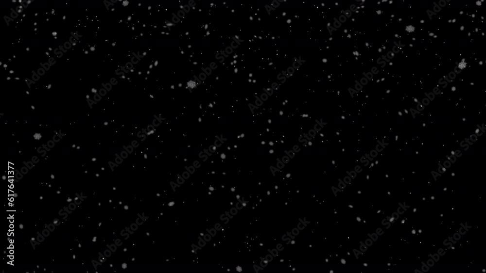 Snow falling. Large and small snowflakes flying down. Seamless loop animation, alpha channel
