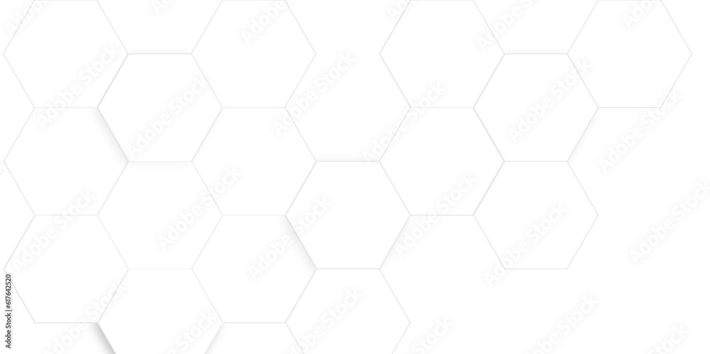 Abstract white and gray hexagon technology lines with shadow background. Abstract white and grey color hexagonal geometric background with copy space. Abstract white lines background. Abstract white and gray hexagon technology lines with shadow background. Abstract white and grey color hexagonal geometric background with copy space. Abstract white lines background.