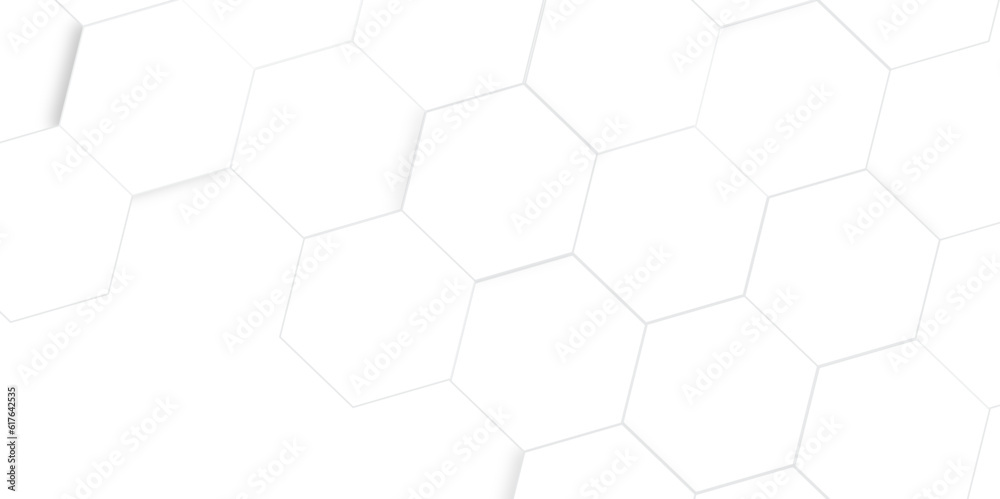 Abstract white and gray hexagon technology lines with shadow background. Abstract white and grey color hexagonal geometric background with copy space. Abstract white lines background. Abstract white and gray hexagon technology lines with shadow background. Abstract white and grey color hexagonal geometric background with copy space. Abstract white lines background.