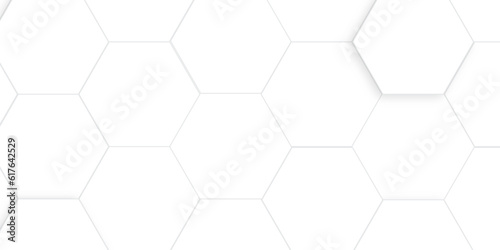 Abstract white and gray hexagon technology lines with shadow background. Abstract white and grey color hexagonal geometric background with copy space. Abstract white lines background.