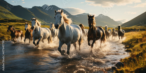 Herd of horses galloping across the river. Running through the water