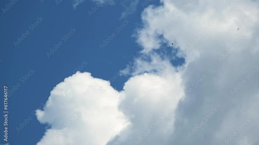 Beautiful blue sky with white cloud and birds. Beautiful blue sky with white cloud and birds.