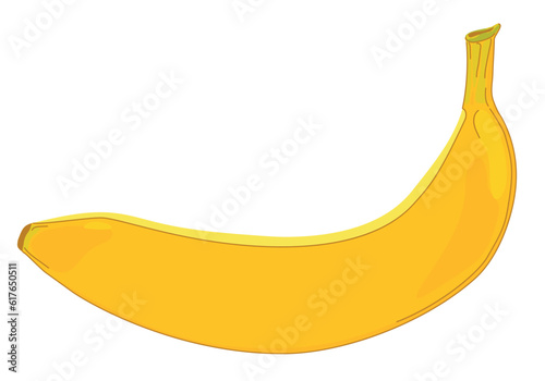 Fresh yellow banana in peel. Natural tropical product. Whole exotic ripe banana. Colored flat vector illustration isolated on white background.