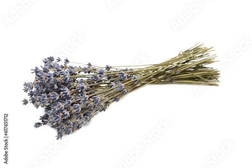 Dry lavender flowers isolated on white background.
