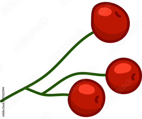 Branch Rowan Berry