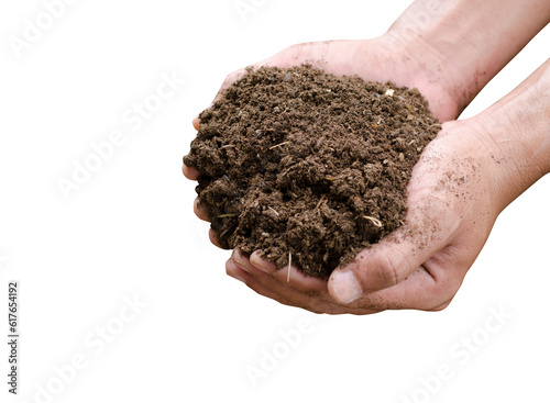 Farmer's hands are holding manure