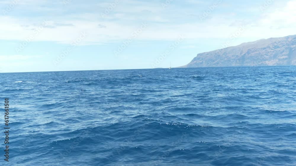 Sei whale spotted during whale excursion as wave splashes on boat Sei whale spotted during whale excursion as wave splashes on boat