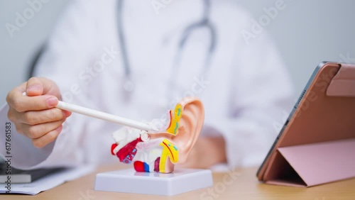 Doctor with human Ear anatomy model. Ear disease, Atresia, Otitis Media, Pertorated Eardrum, Meniere syndrome, otolaryngologist, Ageing Hearing Loss, Schwannoma and Health photo