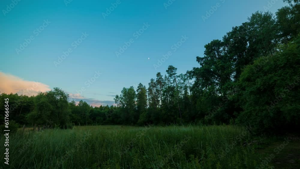 Summer evening time lapse with forest and meadow under sunset sky. Summer evening time lapse with forest and meadow under sunset sky.