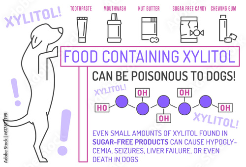 What is poisonous to dogs. Editable vector illustration
