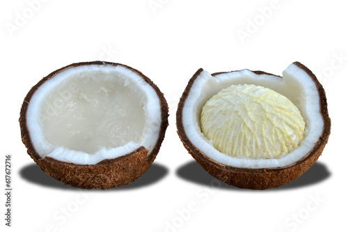 embryo bud of a coconut tree