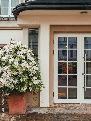 A large beautiful bush of blooming white clematis near the entrance to the house