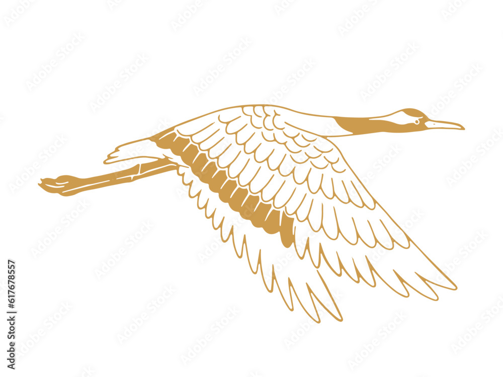 飛んでいるの鶴(タンチョウ)の手描きイラスト_単色 vector de Stock | Adobe Stock