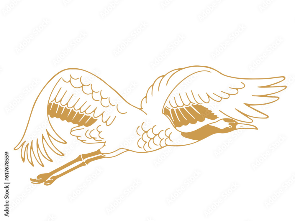 飛んでいるの鶴(タンチョウ)の手描きイラスト_単色 Stock Vector | Adobe Stock